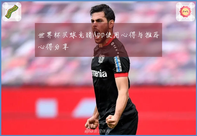 世界杯买球竞猜App使用心得与推荐心得分享