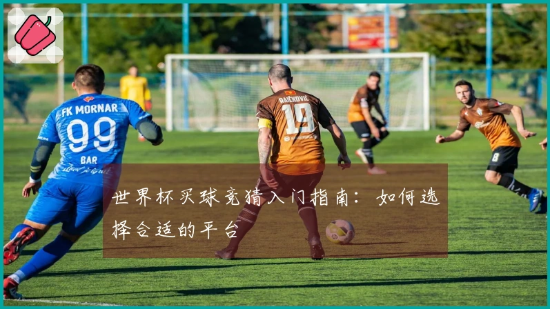 世界杯买球竞猜入门指南：如何选择合适的平台