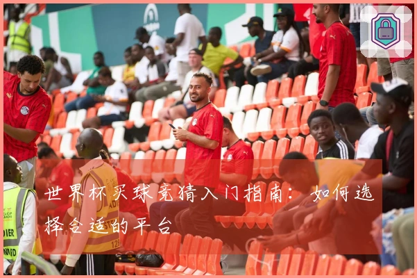 世界杯买球竞猜入门指南：如何选择合适的平台