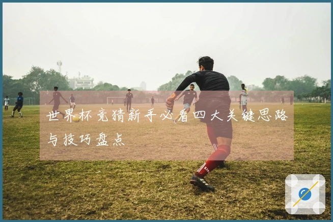世界杯竞猜新手必看四大关键思路与技巧盘点
